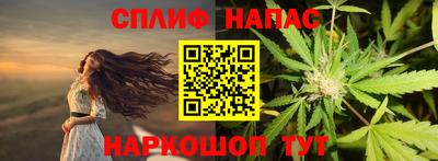 амф Новодвинск