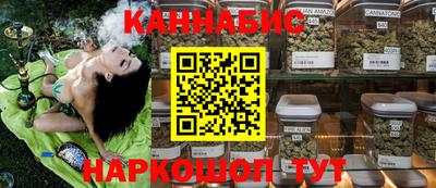 амф Новодвинск