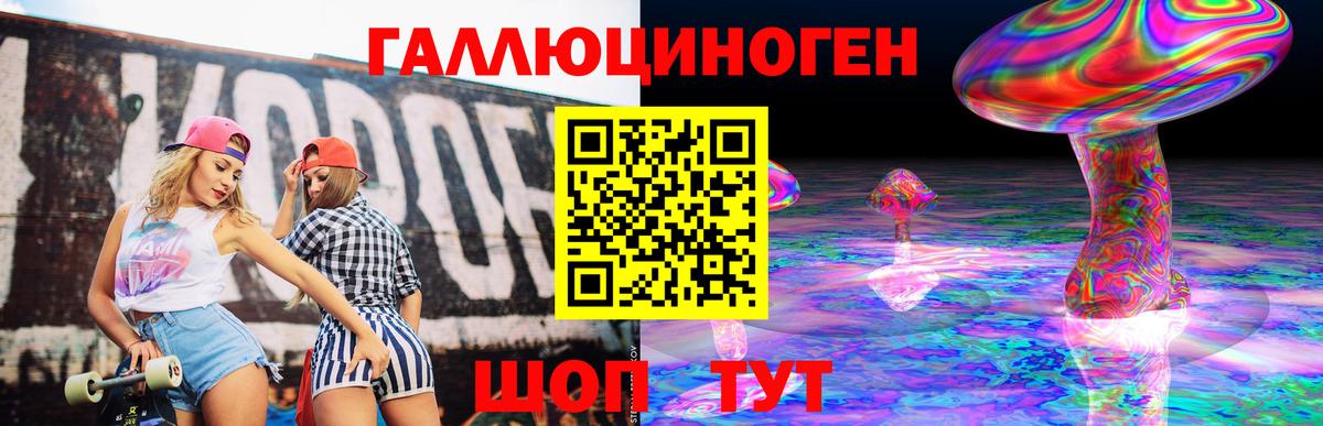 Псилоцибиновые грибы Psilocybe Самара