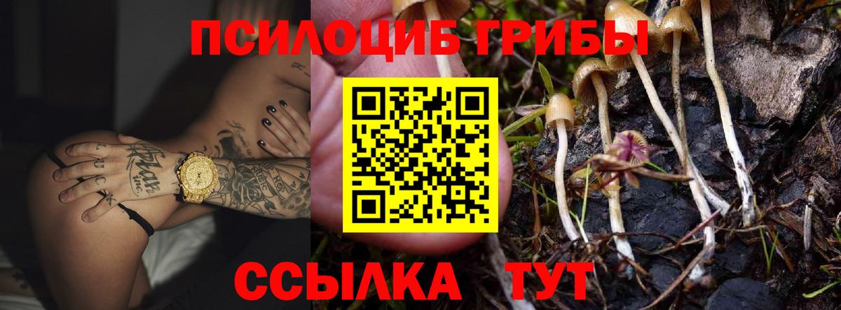 Самара  Галлюциногенные грибы ЛСД  наркотики  Вход с VPN 